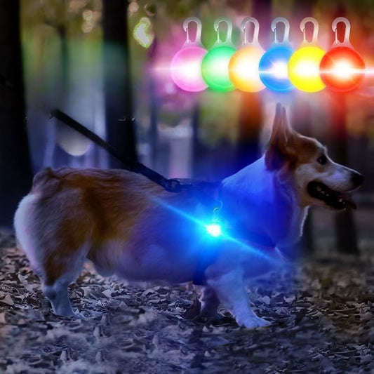 Led Light Hondenlamp